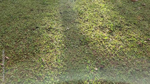 Fresh Green Grass for Garden Landscaping and Outdoor Spaces. Vibrant Lawn Area for Garden Design and Landscaping Projects. Beautiful Green Grass Ideal for Commercial Landscaping Use.