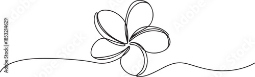 Plumeria flower continuous one line drawing. Frangipani linear blossom. One continuous line drawing of Plumeria flower. one line Art icon drawing