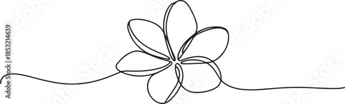 Plumeria flower continuous one line drawing. Frangipani linear blossom. One continuous line drawing of Plumeria flower. one line Art icon drawing