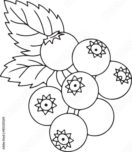 Blueberry cluster Silhouette vector line art black and white berry branch illustration