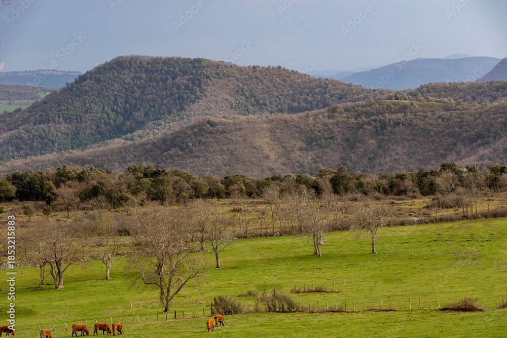 Fototapeta premium Valle de Angulo (Burgos)