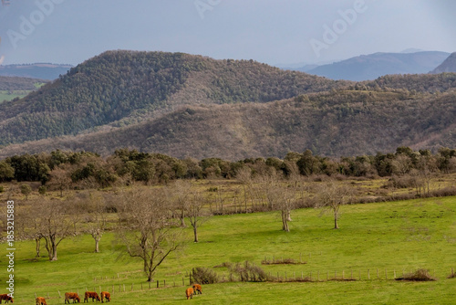 Valle de Angulo (Burgos)