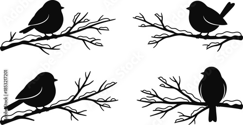 Cute Birds on Snowy Branches Vector Illustration Set
