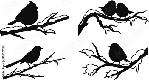 Cute Birds on Snowy Branches Vector Illustration Set