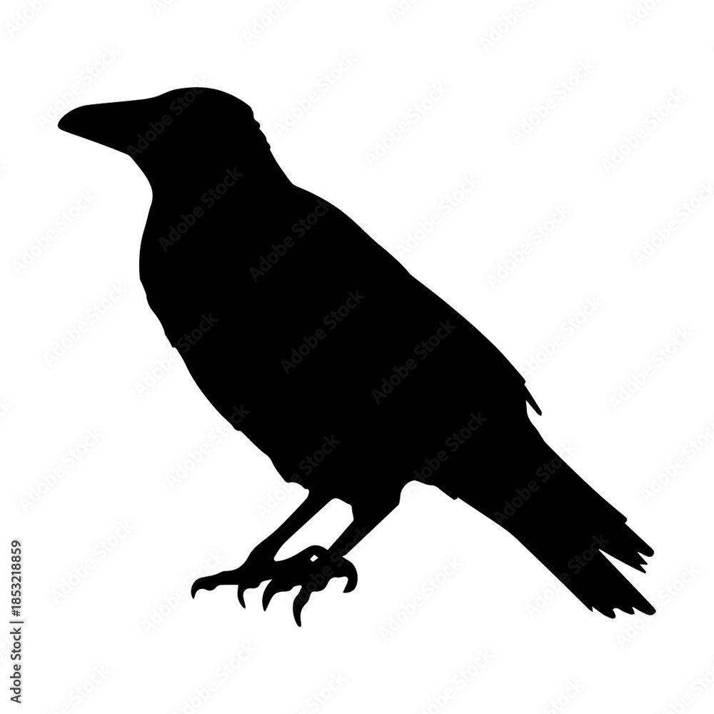 Fototapeta premium Black bird silhouette crow raven on PNG