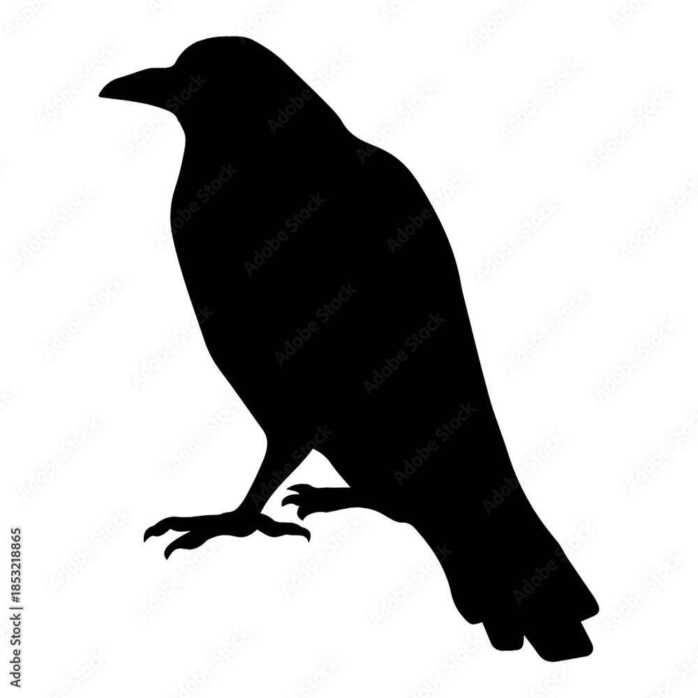 Fototapeta premium Black bird silhouette crow raven on PNG