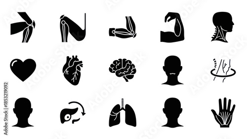 Human body anatomy icon set in black and white for medical design