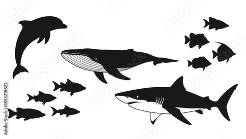 Silhouettes of various sea creatures including a whale shark dolphin and fish