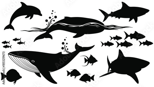 Black and white of various sea creatures including whales sharks and fish