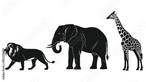 Black and white silhouette of lion elephant and giraffe standing together
