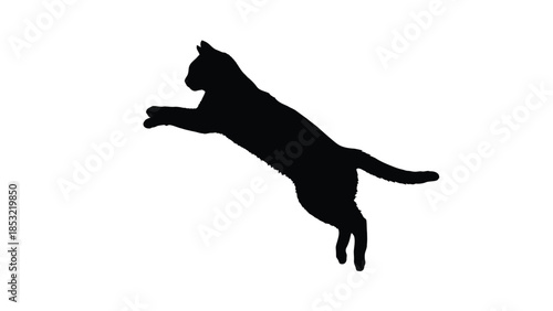 Black cat silhouette mid jump with front paws extended mid-air