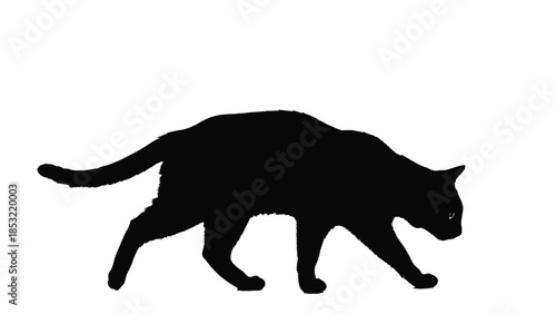 Black cat silhouette walking on white background