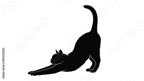 Black cat silhouette stretching on the ground with tail raised