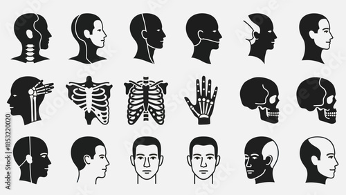 Human anatomy illustrations showing profiles and details in stark black and white