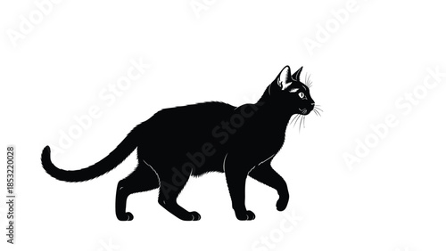 Black cat silhouette walking with whiskers visible 1