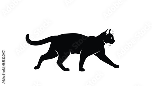 Black cat silhouette walking with whiskers visible