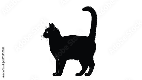 Black cat silhouette with raised tail and whiskers