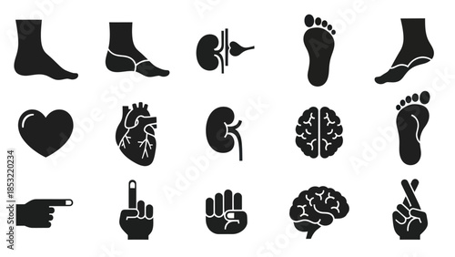 Human body parts and organs black icons for medical and educational purposes