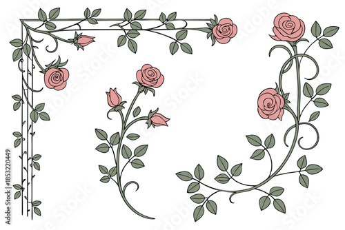 rose vine borders that can frame text or images