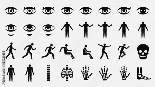 Human body parts and figures in silhouette for design and education