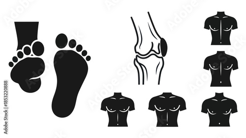 Human body anatomy illustrations foot knee torso silhouettes for design