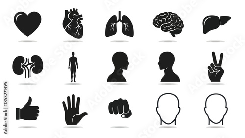 Human body parts and gestures silhouettes vector illustration