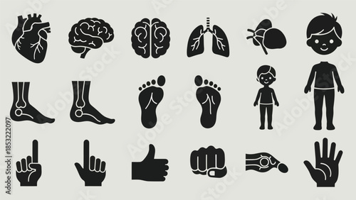 Human body parts and organ silhouettes collection for health and science