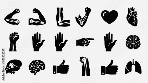 Human body parts and organs black icons for medical and anatomical concepts