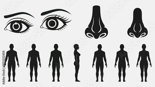 Human body parts illustration eyes nose and body silhouettes on white background