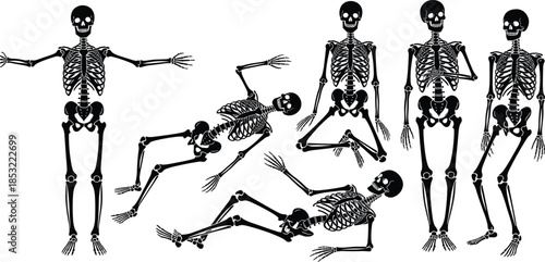 Human Skeleton Poses Black and White Vector Set Isolated on White Background for Medical Anatomy Halloween Decoration or Educational Graphics.