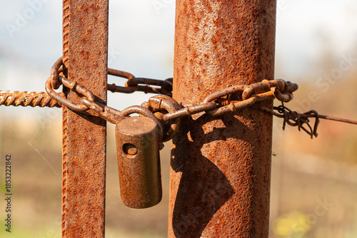 Εκτύπωση καμβά Macro view of an old, rusted padlock and heavy iron chain securing a metal gate