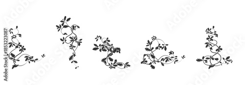 patterns ornament oak weaving complex elements