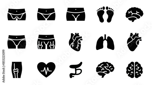 Human body parts silhouettes anatomical illustrations for medical concepts