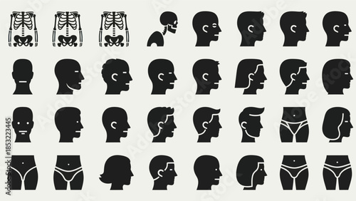 Human anatomy silhouettes and profiles for medical educational and design