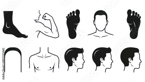 Human body parts silhouettes arm foot head torso for anatomy study