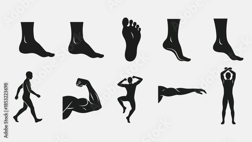 Human anatomy silhouettes foot arm and body poses for design projects