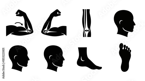 Human body parts silhouettes arm leg head and foot illustrations