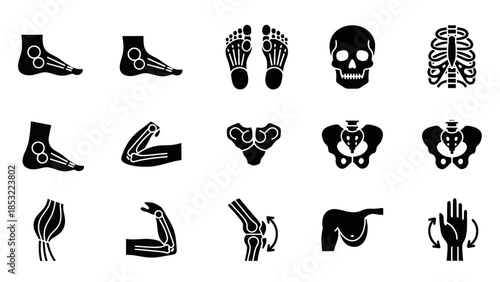 Human anatomy silhouettes foot arm skull and skeletal system illustrations