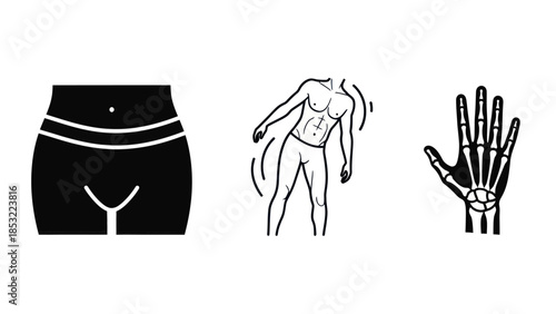 Human body anatomy illustrations waist torso and hand skeleton icons