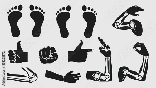 Human anatomy silhouettes foot hand and arm bone outline illustrations