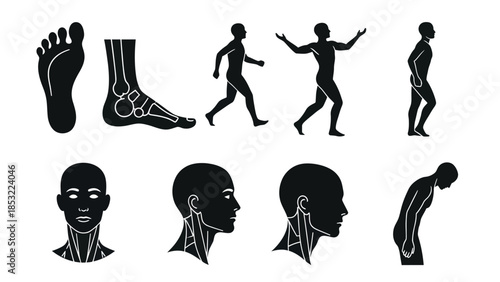 Human anatomy silhouettes foot leg head neck and body figures