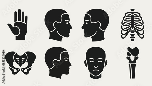 Human anatomy silhouettes hand head profiles rib cage pelvis and bones