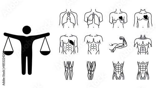 Human body and balance scales symbol set anatomical diagram illustration