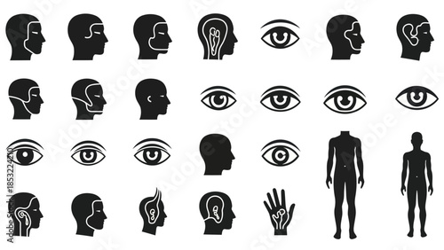 Human anatomy silhouettes head eye ear hand and full body icons