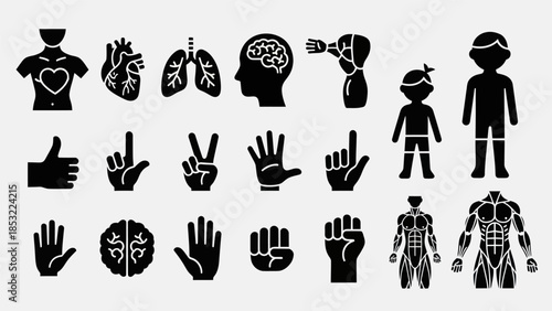 Human body and gestures silhouettes illustrating anatomy and concepts