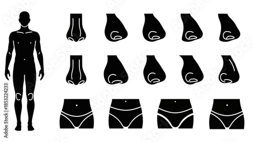 Human body silhouettes anatomical illustrations of nose and pelvic regions