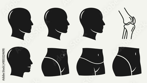 Human body silhouettes and anatomical diagram for medical and educational use