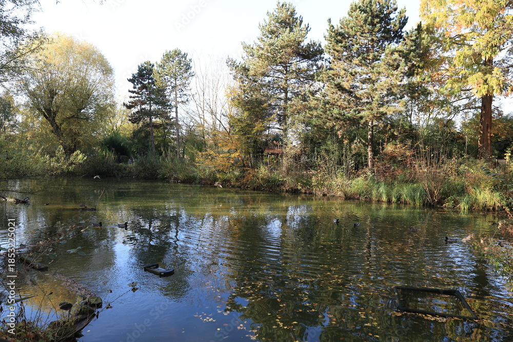 Obraz premium Sonniger Herbsttagb in einem Hammer Tierpark