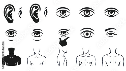 Human body parts silhouettes eyes ears torso and facial features
