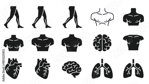 Human body icons illustrations of anatomy and internal organs in black